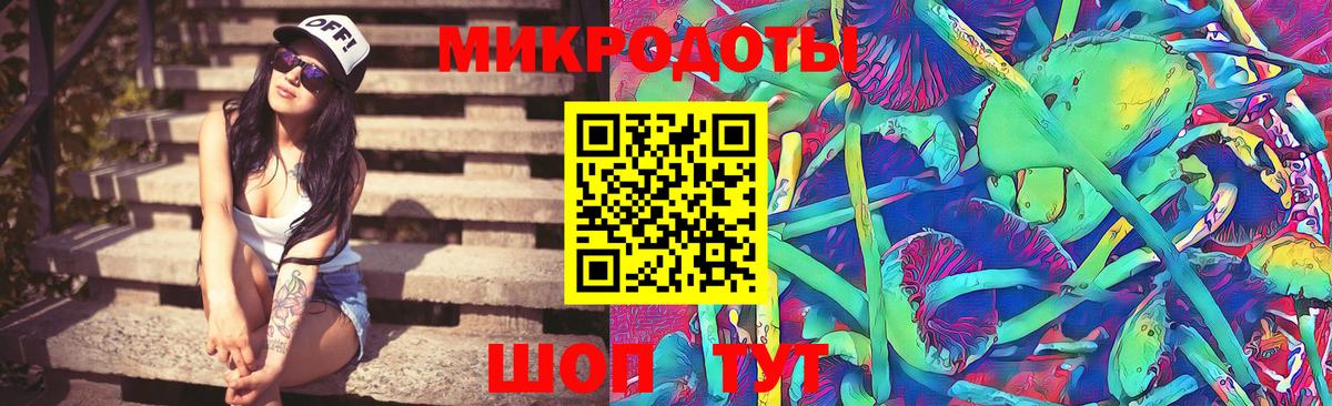 Котовск  хочу   Вход с VPN  Галлюциногенные грибы GOLDEN TEACHER 