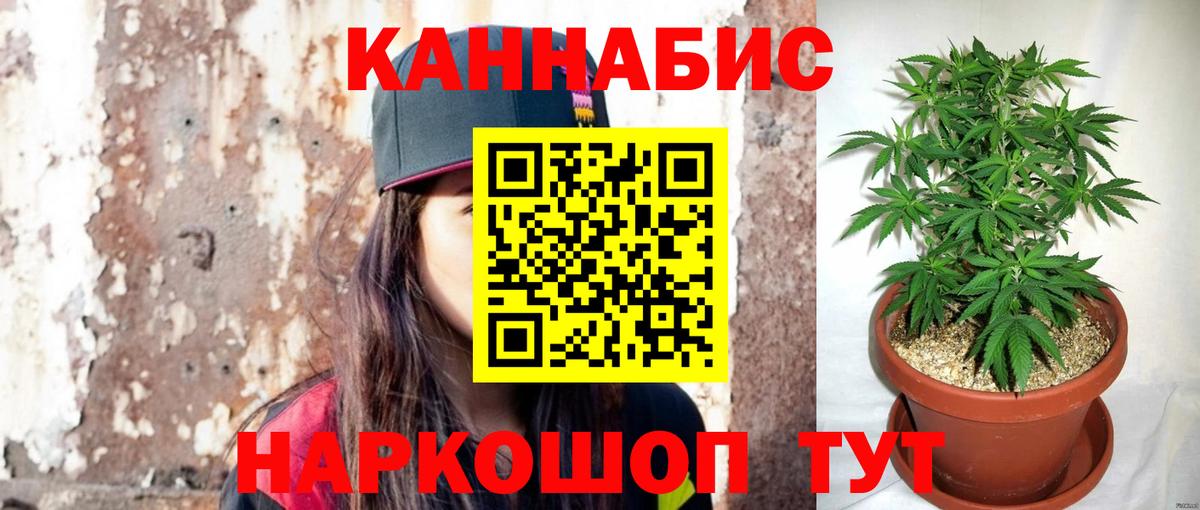 Конопля Amnesia Котовск
